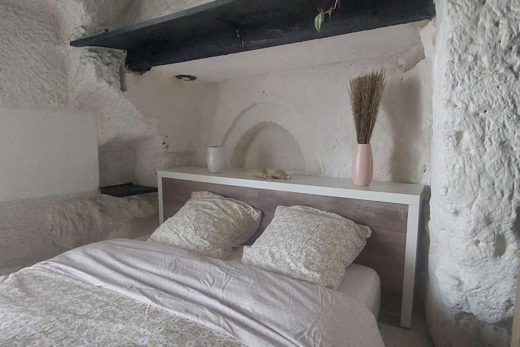 Troglo Entre Caves Et Chateaux Montlouis-sur-Loire Exteriér fotografie