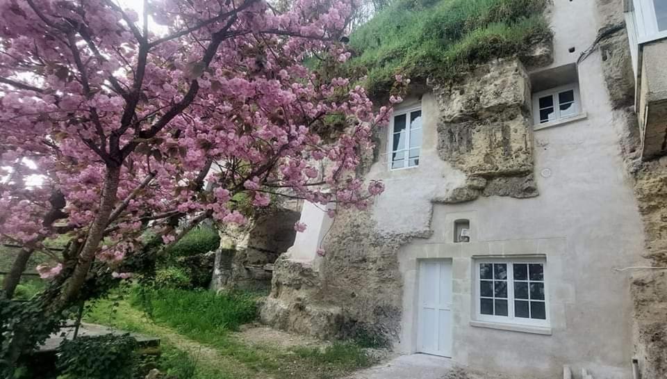 Troglo Entre Caves Et Chateaux Montlouis-sur-Loire Exteriér fotografie